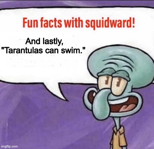 Oh god its swimming timeee | And lastly, "Tarantulas can swim." | image tagged in fun facts with squidward | made w/ Imgflip meme maker