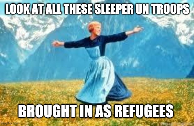 Look At All These Meme | LOOK AT ALL THESE SLEEPER UN TROOPS; BROUGHT IN AS REFUGEES | image tagged in memes,look at all these | made w/ Imgflip meme maker