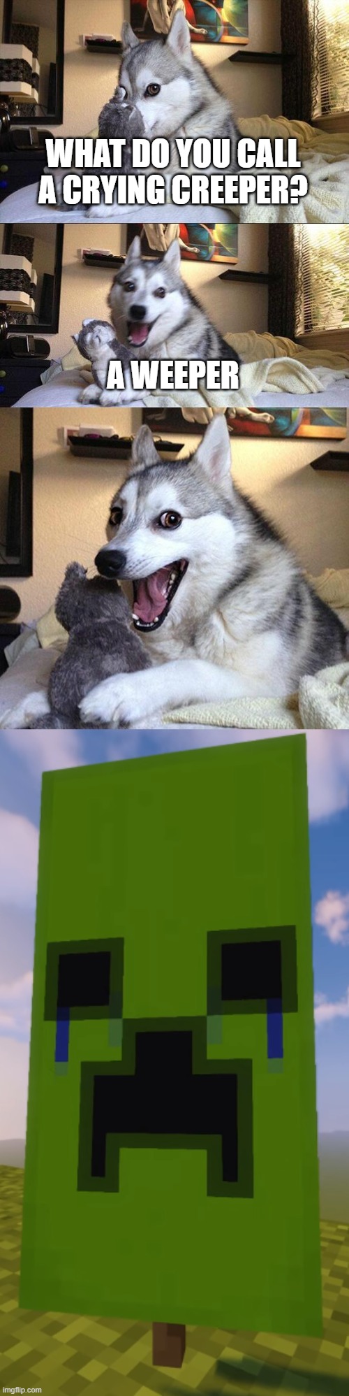 lol.... | WHAT DO YOU CALL A CRYING CREEPER? A WEEPER | image tagged in memes,bad pun dog,minecraft creeper | made w/ Imgflip meme maker