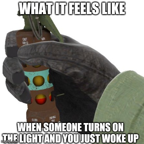 Seriously tho | WHAT IT FEELS LIKE; WHEN SOMEONE TURNS ON THE LIGHT AND YOU JUST WOKE UP | image tagged in flashbang,barney will eat all of your delectable biscuits | made w/ Imgflip meme maker