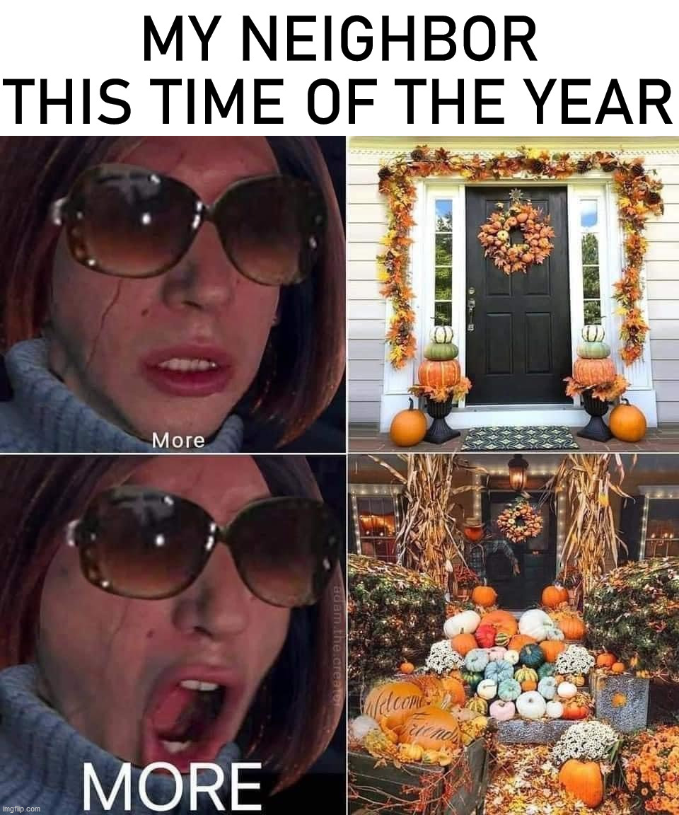 The pumpkins and fall decorations are extreme. | MY NEIGHBOR THIS TIME OF THE YEAR | image tagged in fall,decorating | made w/ Imgflip meme maker