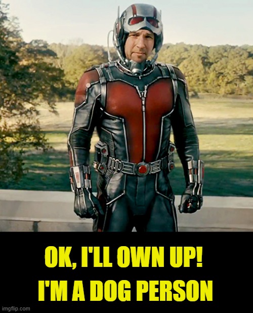 Ant Man | OK, I'LL OWN UP! I'M A DOG PERSON | image tagged in ant man | made w/ Imgflip meme maker