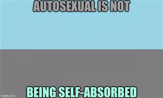 I met a LGBTQ+ person who was Invalidating Autosexuals irl the other day- | AUTOSEXUAL IS NOT; BEING SELF-ABSORBED | made w/ Imgflip meme maker