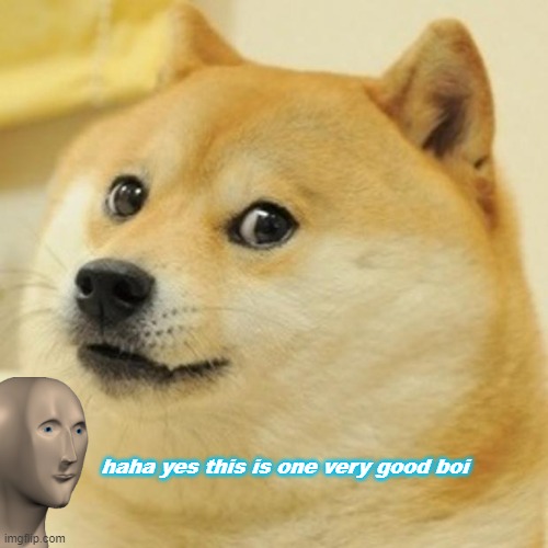 Doge #12 | haha yes this is one very good boi | image tagged in memes,doge,dogespam | made w/ Imgflip meme maker