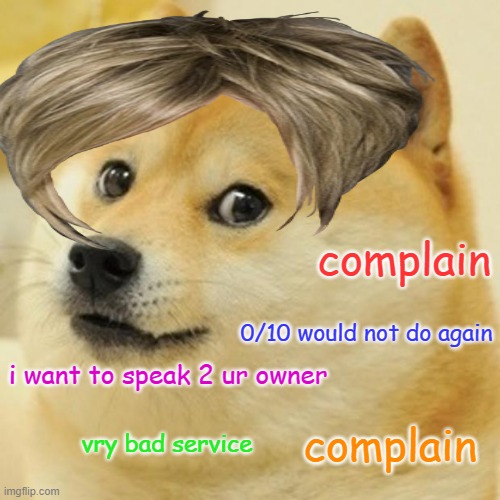 Doge #14 | complain; 0/10 would not do again; i want to speak 2 ur owner; vry bad service; complain | image tagged in memes,doge,dogespam | made w/ Imgflip meme maker