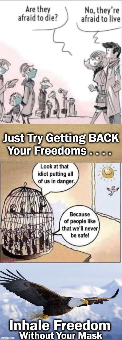 The Dismantling of the Constitution Will Result in the Dissolution of Freedom | image tagged in politics,covid-19,mandates,loss of freedom,liberalism,america | made w/ Imgflip meme maker