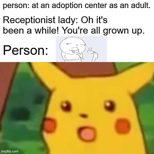 Surprised Pikachu | person: at an adoption center as an adult. Receptionist lady: Oh it's been a while! You're all grown up. Person: | image tagged in memes,surprised pikachu | made w/ Imgflip meme maker