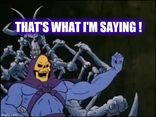 Skeletor Proclaiming | THAT'S WHAT I'M SAYING ! | image tagged in skeletor proclaiming | made w/ Imgflip meme maker