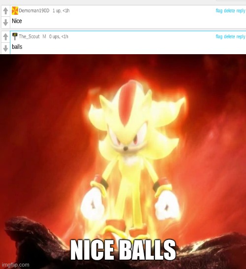 bals | NICE BALLS | image tagged in balls | made w/ Imgflip meme maker