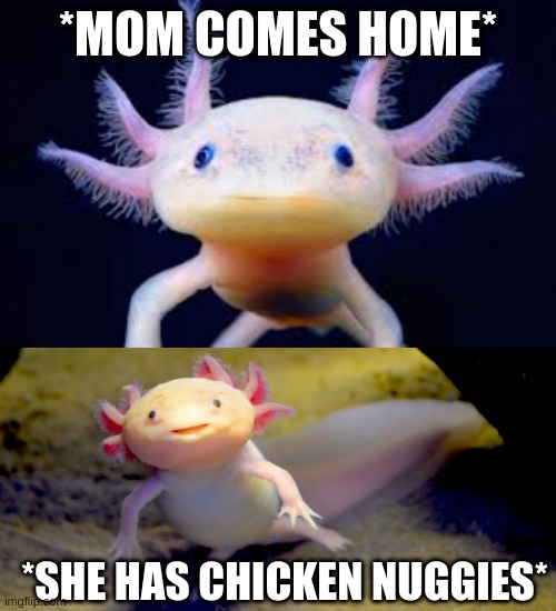 when mom comes home with chicken nuggies | *MOM COMES HOME*; *SHE HAS CHICKEN NUGGIES* | image tagged in axolotl,smiling | made w/ Imgflip meme maker