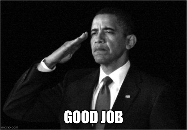 obama-salute | GOOD JOB | image tagged in obama-salute | made w/ Imgflip meme maker