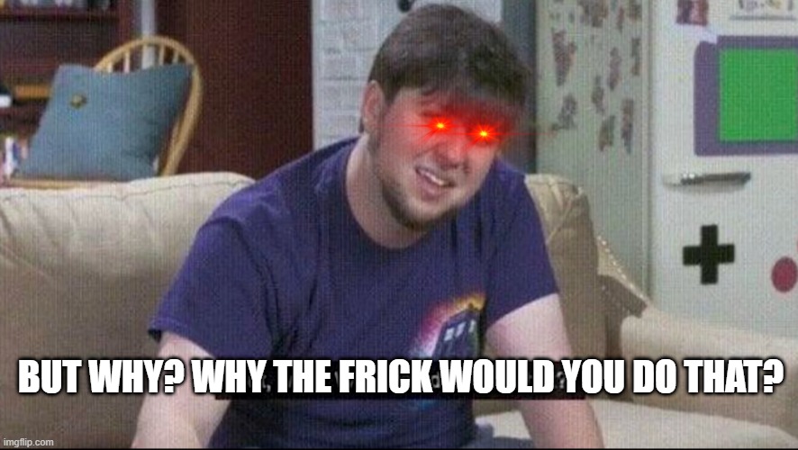 But why why would you do that? | BUT WHY? WHY THE FRICK WOULD YOU DO THAT? | image tagged in but why why would you do that | made w/ Imgflip meme maker