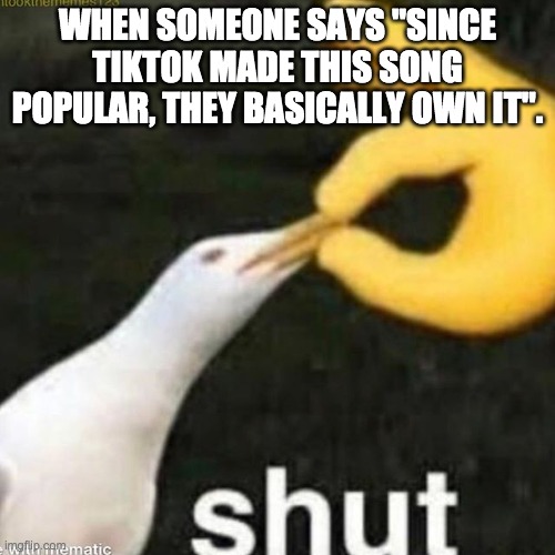 Shut Gull | WHEN SOMEONE SAYS "SINCE TIKTOK MADE THIS SONG POPULAR, THEY BASICALLY OWN IT". | image tagged in shut gull | made w/ Imgflip meme maker