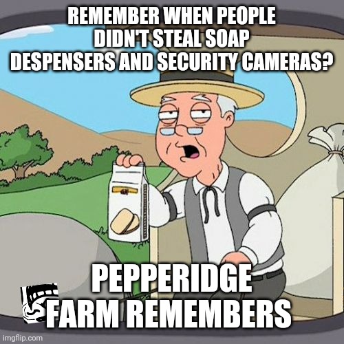Pepperidge Farm Remembers Meme | REMEMBER WHEN PEOPLE DIDN'T STEAL SOAP DESPENSERS AND SECURITY CAMERAS? PEPPERIDGE FARM REMEMBERS | image tagged in memes,pepperidge farm remembers,tiktok,tiktok sucks | made w/ Imgflip meme maker