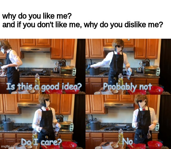 Just a question I've been pondering :3 | why do you like me?
and if you don't like me, why do you dislike me? | image tagged in ranboo is this a good idea | made w/ Imgflip meme maker