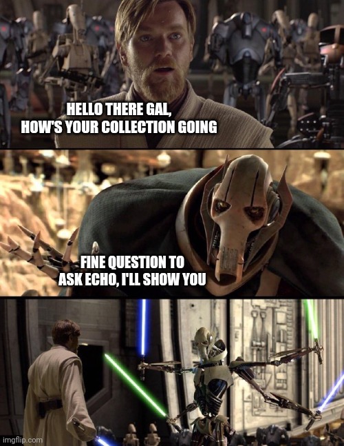 Echo and Gal whenever they meet be like | HELLO THERE GAL, HOW'S YOUR COLLECTION GOING; FINE QUESTION TO ASK ECHO, I'LL SHOW YOU | image tagged in general kenobi hello there | made w/ Imgflip meme maker