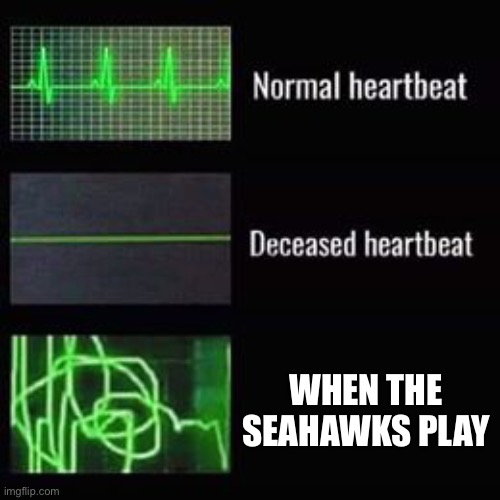 Seahawks fans will feel me :( | WHEN THE SEAHAWKS PLAY | image tagged in heartbeat rate,seattle seahawks | made w/ Imgflip meme maker
