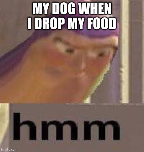 Buzz Lightyear Hmm | MY DOG WHEN I DROP MY FOOD | image tagged in buzz lightyear hmm | made w/ Imgflip meme maker