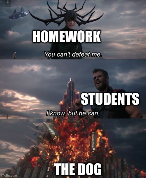 You can't defeat me | HOMEWORK; STUDENTS; THE DOG | image tagged in you can't defeat me | made w/ Imgflip meme maker