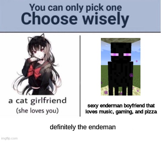 @Enderman0819 |  sexy enderman boyfriend that loves music, gaming, and pizza; definitely the endeman | image tagged in choose wisely,cute boi | made w/ Imgflip meme maker