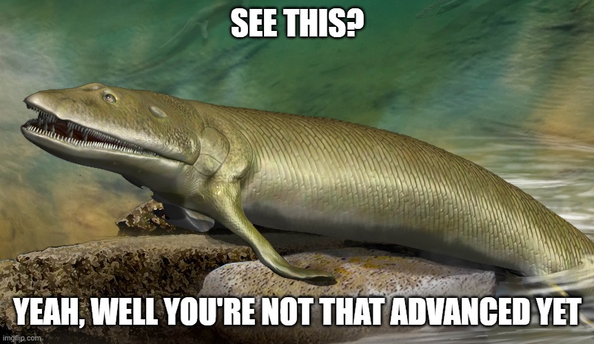 Not as advanced as first fish | SEE THIS? YEAH, WELL YOU'RE NOT THAT ADVANCED YET | image tagged in evolution | made w/ Imgflip meme maker