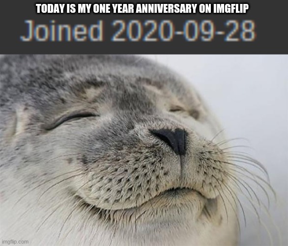 My One Year Anniversary!1!1 |  TODAY IS MY ONE YEAR ANNIVERSARY ON IMGFLIP | image tagged in memes,satisfied seal,one year anniversary,happiness noise | made w/ Imgflip meme maker