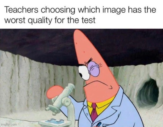worst possible image | image tagged in patrick | made w/ Imgflip meme maker