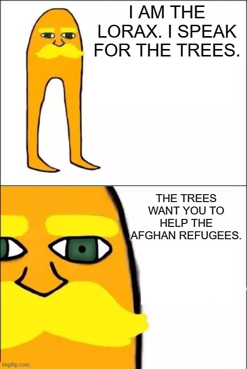 lorax | I AM THE LORAX. I SPEAK FOR THE TREES. THE TREES WANT YOU TO HELP THE AFGHAN REFUGEES. | image tagged in the lorax | made w/ Imgflip meme maker