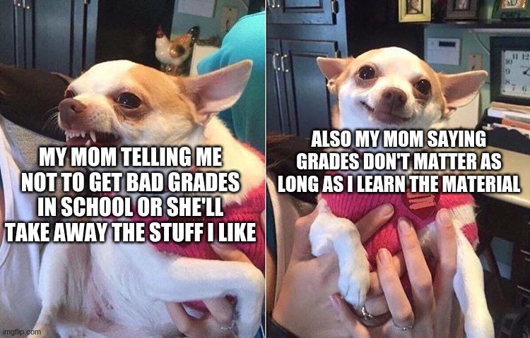 PICK ONE. | ALSO MY MOM SAYING GRADES DON'T MATTER AS LONG AS I LEARN THE MATERIAL; MY MOM TELLING ME NOT TO GET BAD GRADES IN SCHOOL OR SHE'LL TAKE AWAY THE STUFF I LIKE | image tagged in angry dog meme,mom,bruh,school,bad grades,stressed out | made w/ Imgflip meme maker