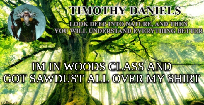 nature template | IM IN WOODS CLASS AND GOT SAWDUST ALL OVER MY SHIRT | image tagged in nature template | made w/ Imgflip meme maker