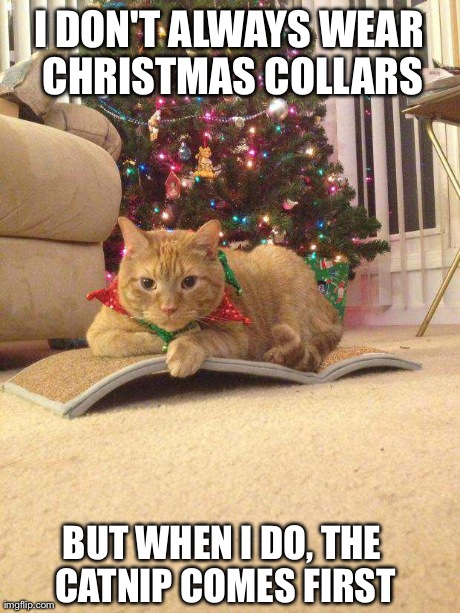 I DON'T ALWAYS WEAR CHRISTMAS COLLARS BUT WHEN I DO, THE CATNIP COMES FIRST | made w/ Imgflip meme maker