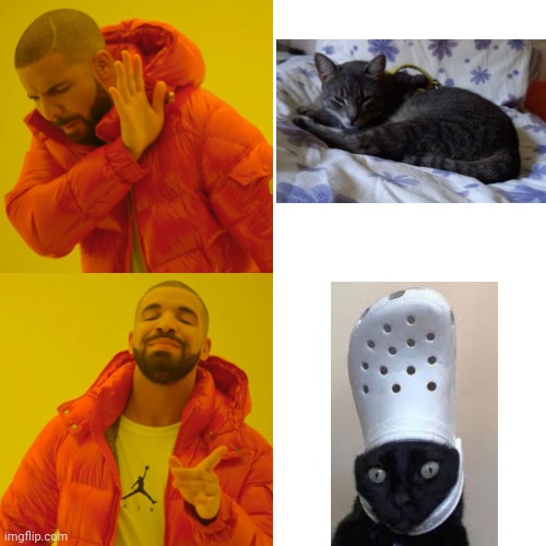 The first one is my cat, the second onr, not my  cat | image tagged in memes,drake hotline bling | made w/ Imgflip meme maker