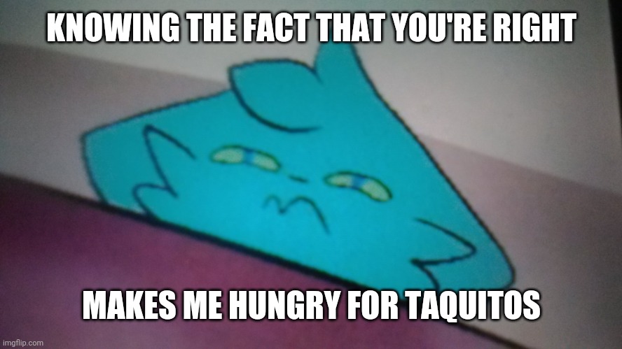 RetroFurry concerned | KNOWING THE FACT THAT YOU'RE RIGHT MAKES ME HUNGRY FOR TAQUITOS | image tagged in retrofurry concerned | made w/ Imgflip meme maker