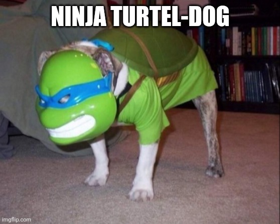 Halloween costume for dogs | NINJA TURTEL-DOG | image tagged in cursed dog | made w/ Imgflip meme maker