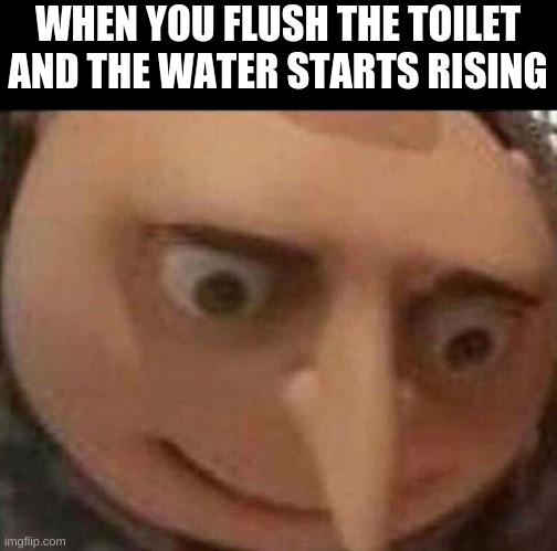 gru meme | WHEN YOU FLUSH THE TOILET AND THE WATER STARTS RISING | image tagged in gru meme | made w/ Imgflip meme maker