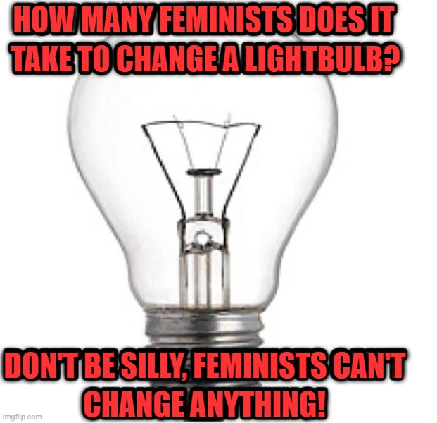 HOW MANY FEMINISTS DOES IT; TAKE TO CHANGE A LIGHTBULB? DON'T BE SILLY, FEMINISTS CAN'T; CHANGE ANYTHING! | image tagged in political meme | made w/ Imgflip meme maker