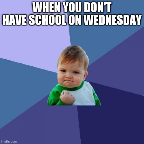 Success Kid | WHEN YOU DON'T HAVE SCHOOL ON WEDNESDAY | image tagged in memes,success kid | made w/ Imgflip meme maker