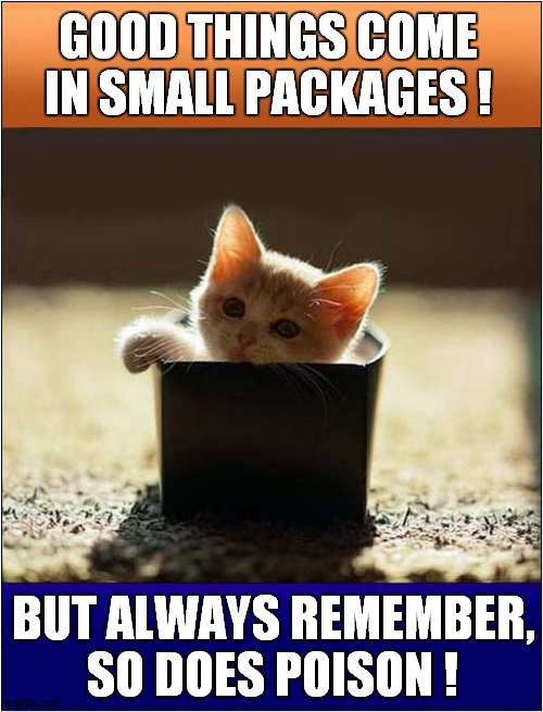 Desire ! | GOOD THINGS COME IN SMALL PACKAGES ! BUT ALWAYS REMEMBER,
SO DOES POISON ! | image tagged in cats,kitten,boxes,desire,poison | made w/ Imgflip meme maker