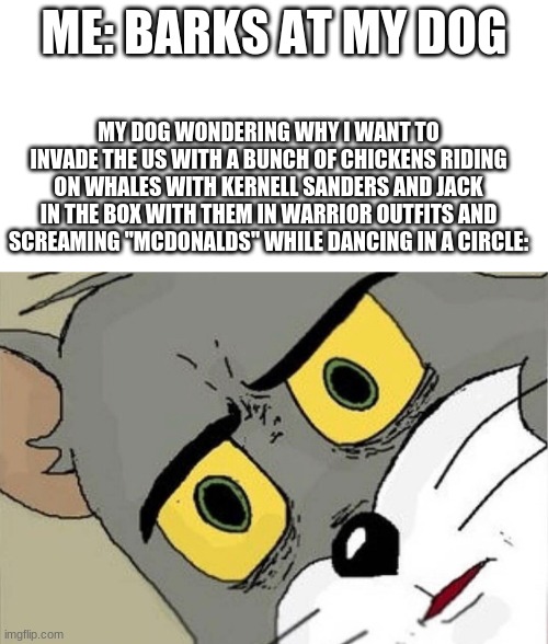 :| ? |  ME: BARKS AT MY DOG; MY DOG WONDERING WHY I WANT TO INVADE THE US WITH A BUNCH OF CHICKENS RIDING ON WHALES WITH KERNELL SANDERS AND JACK IN THE BOX WITH THEM IN WARRIOR OUTFITS AND SCREAMING "MCDONALDS" WHILE DANCING IN A CIRCLE: | image tagged in unsettled tom | made w/ Imgflip meme maker