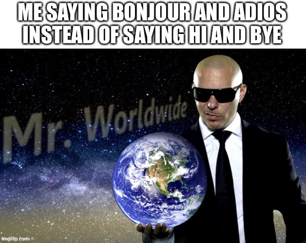 Mr Worldwide | ME SAYING BONJOUR AND ADIOS INSTEAD OF SAYING HI AND BYE | image tagged in mr worldwide | made w/ Imgflip meme maker