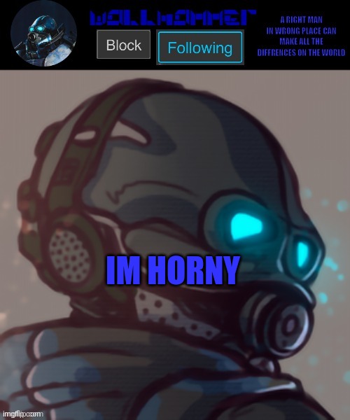 yes this is wallhammer | IM HORNY | image tagged in temp | made w/ Imgflip meme maker