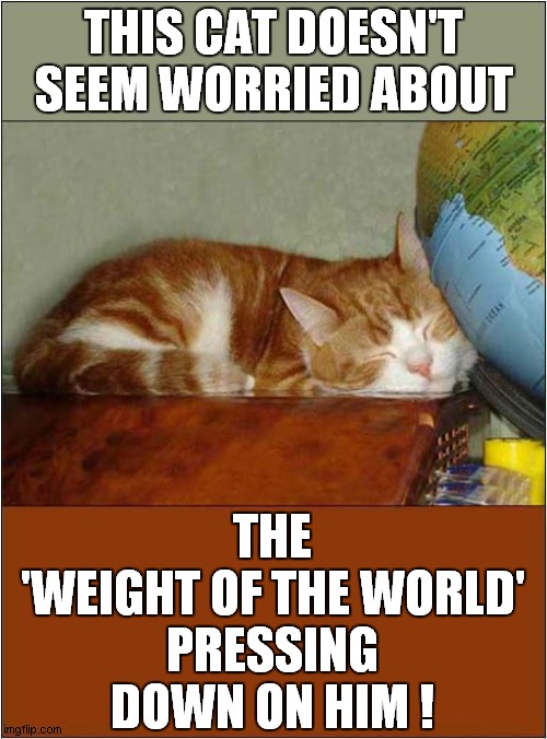 A Cats Lack Of Concern ! | THIS CAT DOESN'T SEEM WORRIED ABOUT; THE
'WEIGHT OF THE WORLD'
PRESSING DOWN ON HIM ! | image tagged in cats,globe,visual pun | made w/ Imgflip meme maker