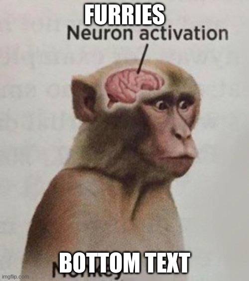  FURRIES; BOTTOM TEXT | image tagged in neuron activation monkey | made w/ Imgflip meme maker