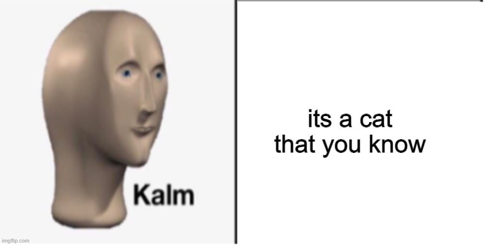 Just Kalm. | its a cat that you know | image tagged in just kalm | made w/ Imgflip meme maker
