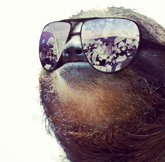 High Quality Sloth shades Blank Meme Template