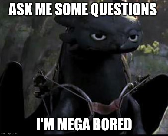 Bored Dragon | ASK ME SOME QUESTIONS; I'M MEGA BORED | image tagged in bored dragon | made w/ Imgflip meme maker