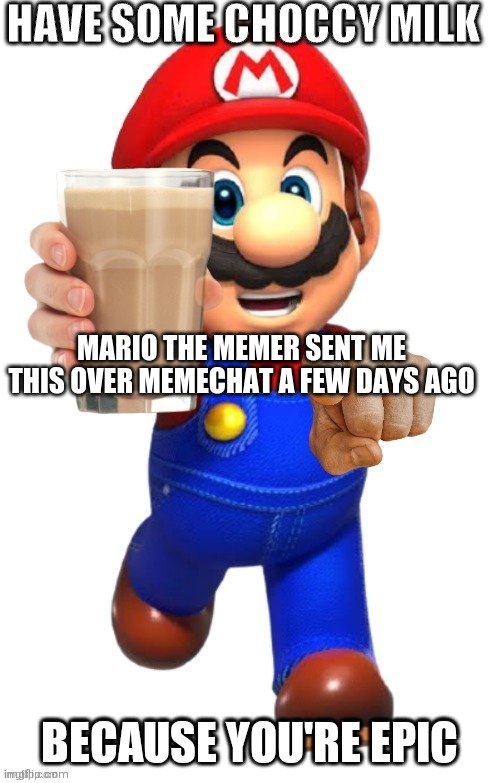 yey | MARIO THE MEMER SENT ME THIS OVER MEMECHAT A FEW DAYS AGO | image tagged in pogger | made w/ Imgflip meme maker
