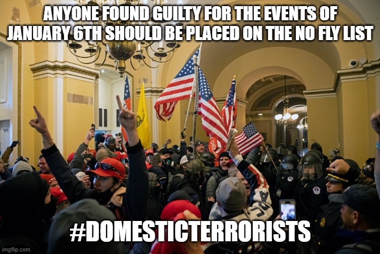 rioters inside capitol january 6 | ANYONE FOUND GUILTY FOR THE EVENTS OF JANUARY 6TH SHOULD BE PLACED ON THE NO FLY LIST; #DOMESTICTERRORISTS | image tagged in rioters inside capitol january 6 | made w/ Imgflip meme maker