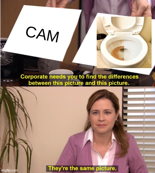They're The Same Picture | CAM | image tagged in memes,they're the same picture | made w/ Imgflip meme maker