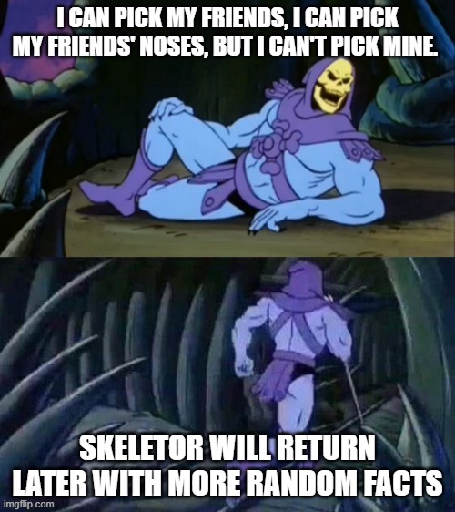 Skeletor disturbing facts | I CAN PICK MY FRIENDS, I CAN PICK MY FRIENDS' NOSES, BUT I CAN'T PICK MINE. SKELETOR WILL RETURN LATER WITH MORE RANDOM FACTS | image tagged in skeletor disturbing facts | made w/ Imgflip meme maker